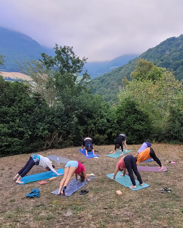 Un groupe en posture du chien tête en bas sur une prairie, entouré de montagnes et de forêts